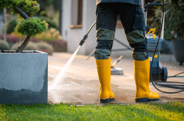 Best Seasonal Cleaning Services in Berkley, CO